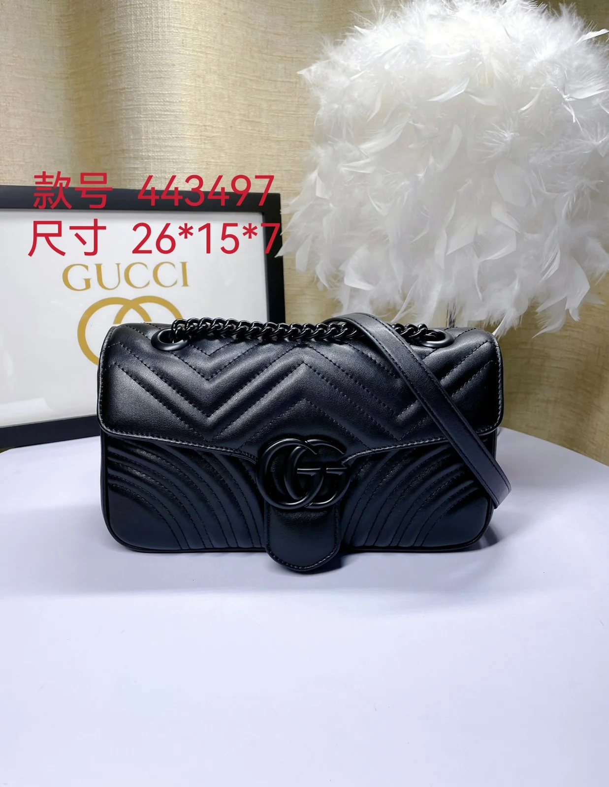 Gucci Bag