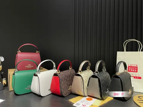 COACH Saddle