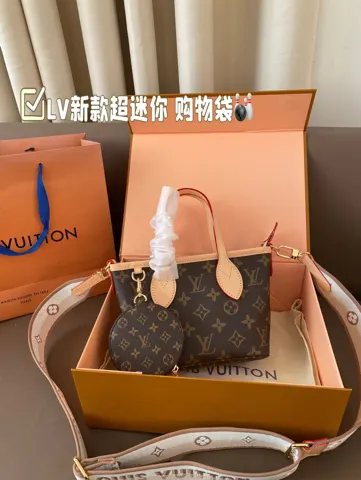 Louis Vuitton Bag