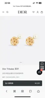 Dior new style Dior new letter earrings loved by top brands. The metal texture