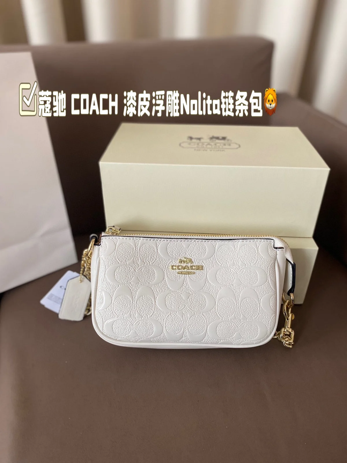 COACH Bag
