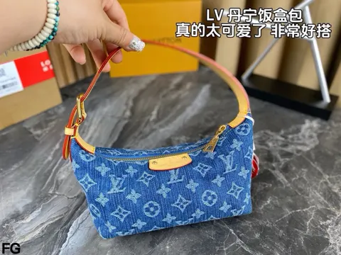 Louis Vuitton Bag