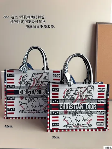 Dior Book Tote