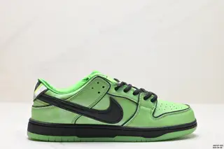 Nike DUNK LOW series Retro low-top casual sports skateboard shoes FZ8319-300