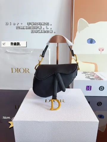 Dior Saddle