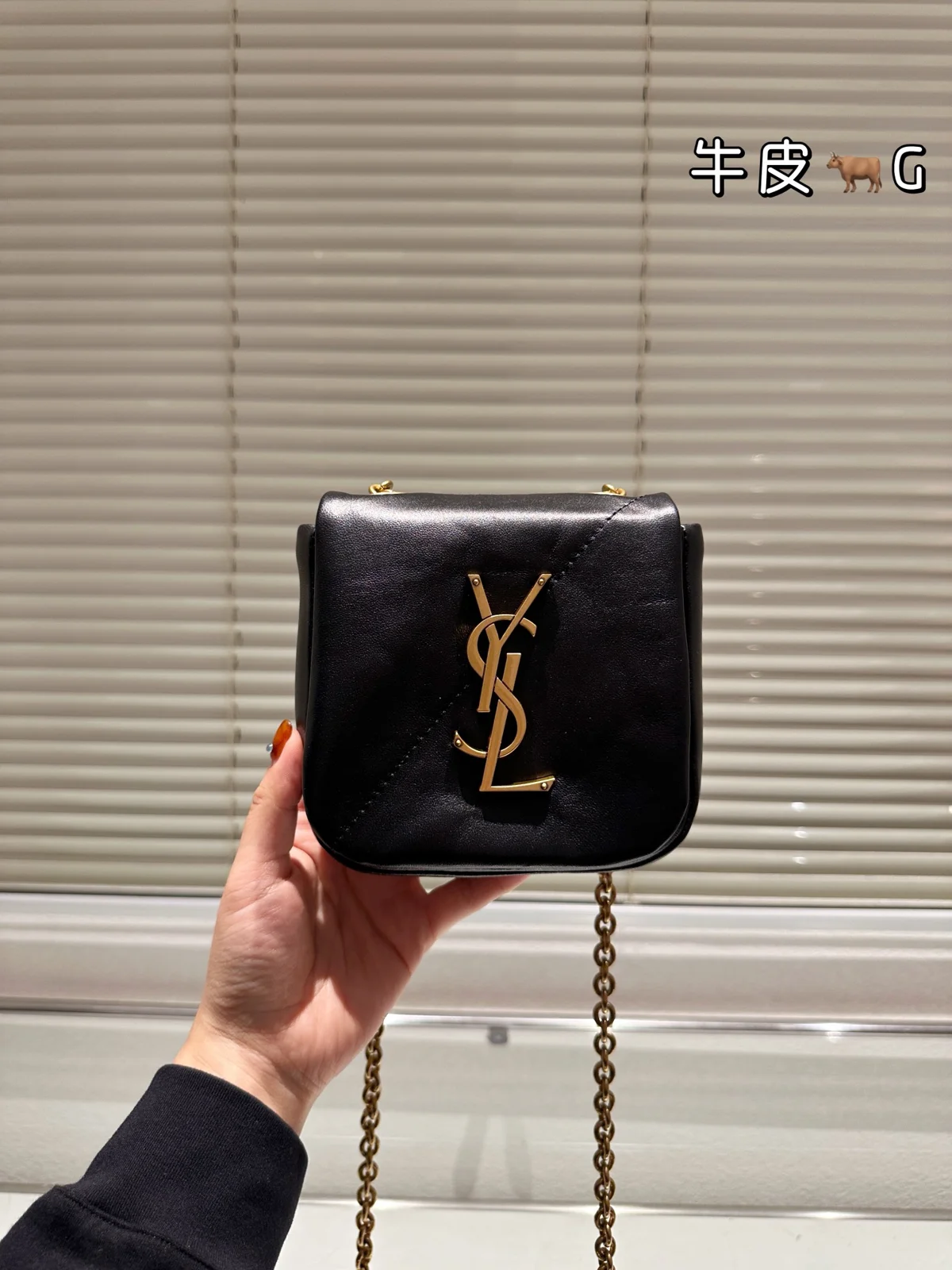 Yves Saint Laurent Bag