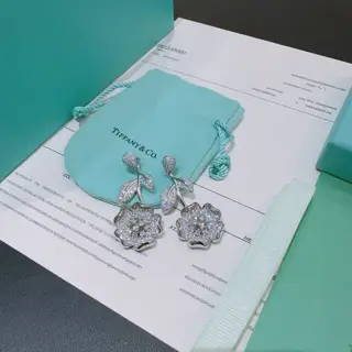 Tiffany Earrings Commemorative Edition Behind the Scenes Horse Eye Earrings Using high