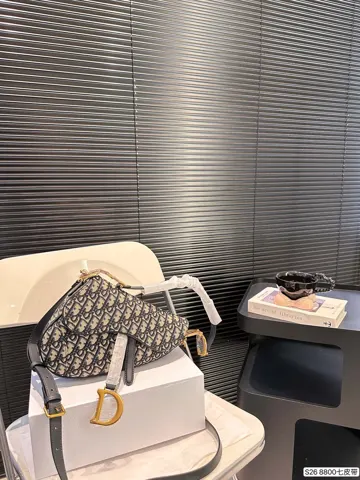 Dior Saddle