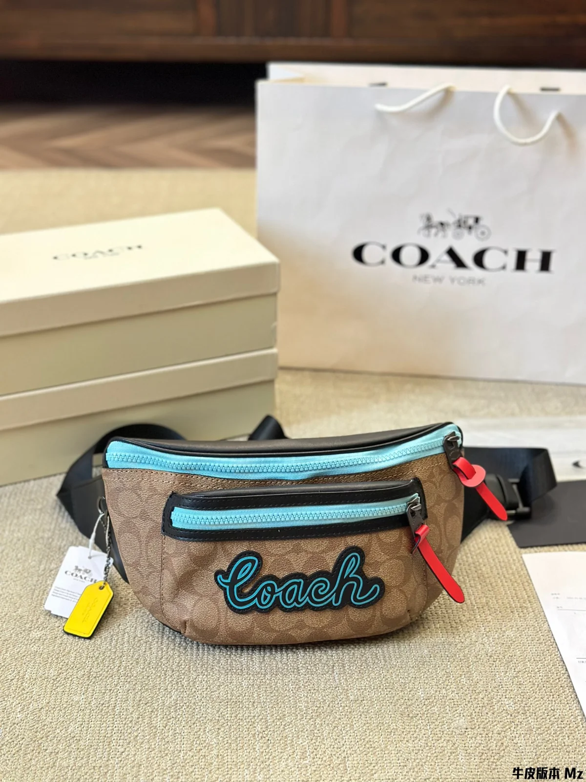 COACH Crossbody