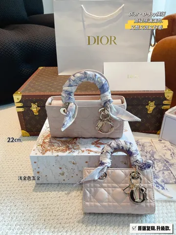 Dior Bag