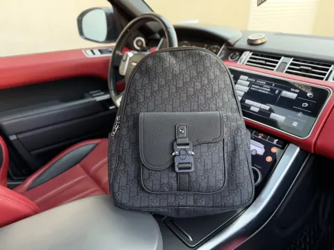 Dior Saddle