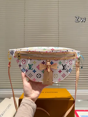 Louis Vuitton Bag