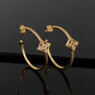 Louis Vuitton earrings