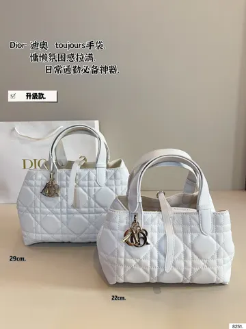 Dior Bag