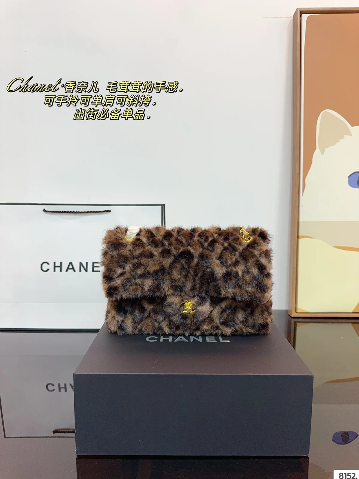Chanel Bag