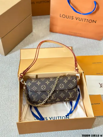 Louis Vuitton Bag