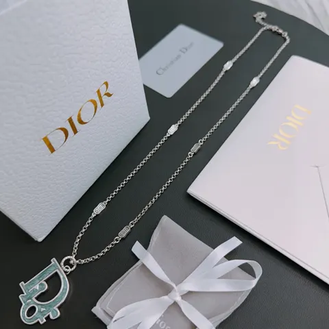 DIOR new retro elements
