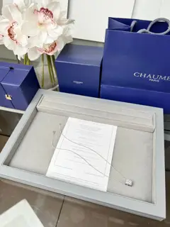 Chaumet Paris Honeycomb Series New Design Full Diamond Necklace