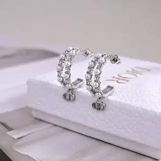 Dior 2024 new style Dior