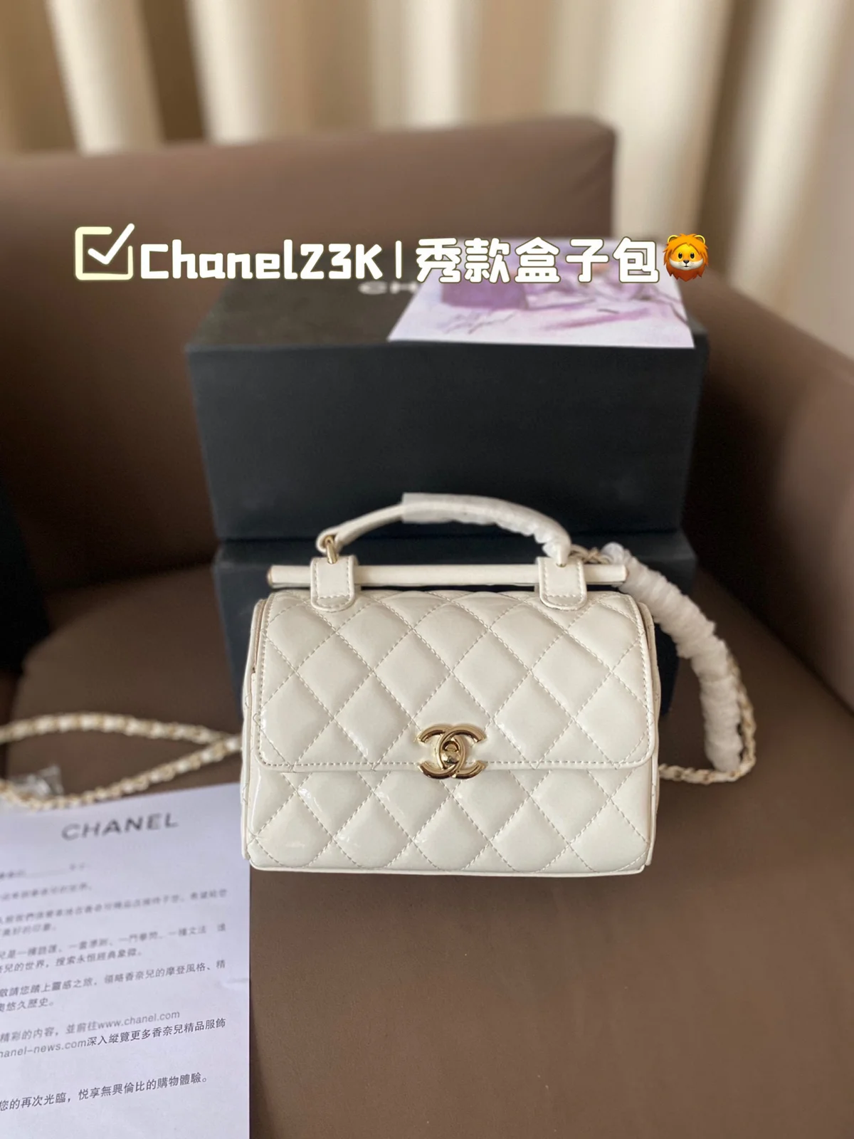 Chanel Bag