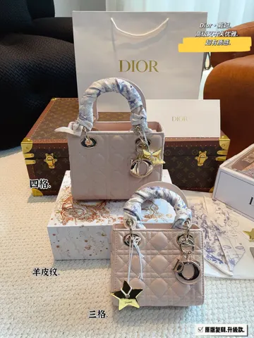 Dior Bag