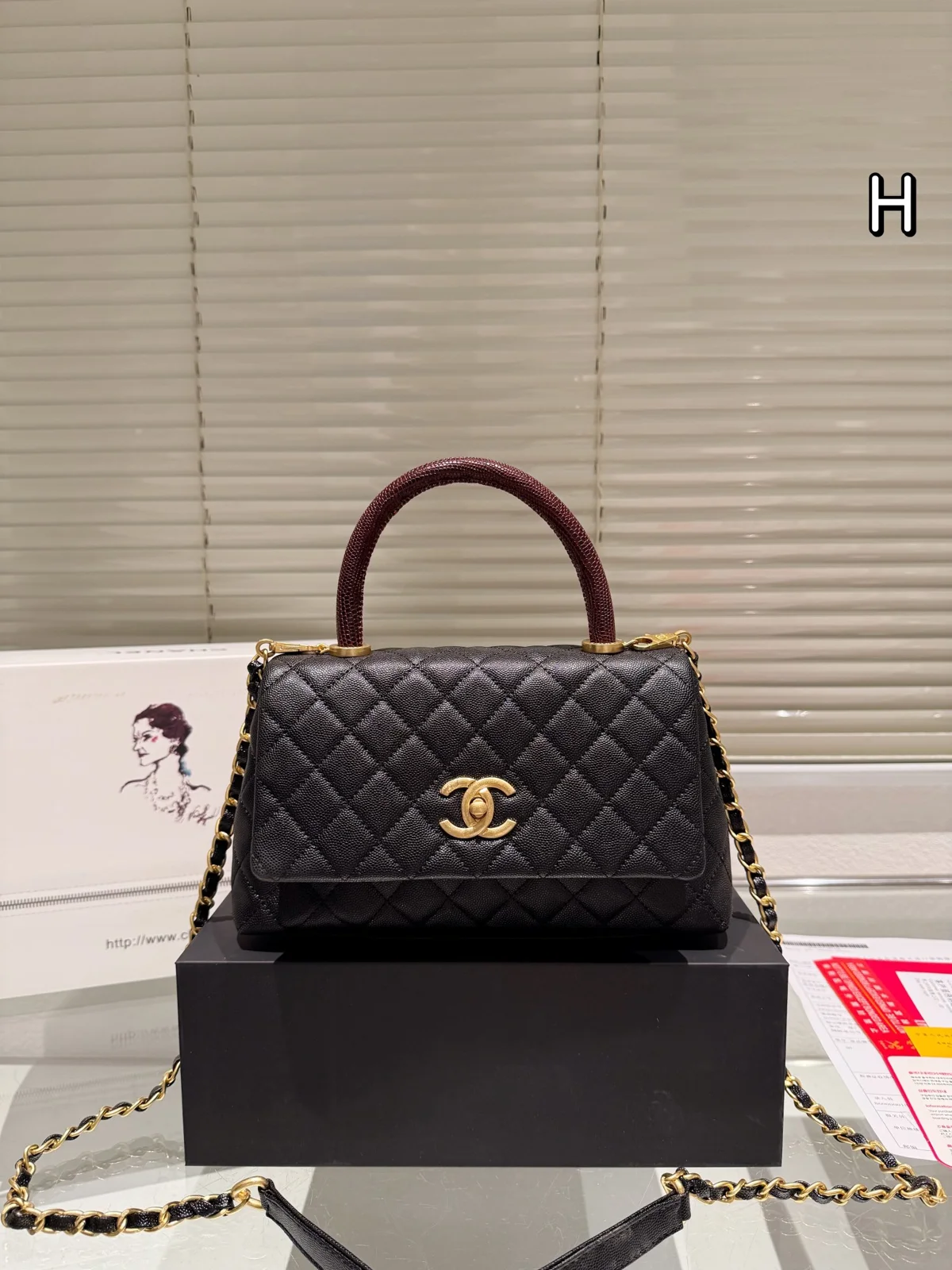 Chanel Bag