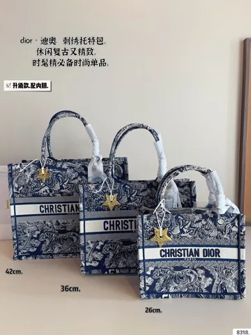 Dior Book Tote