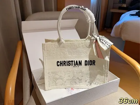Dior Book Tote
