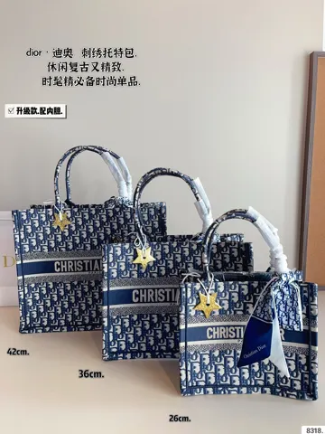 Dior Book Tote