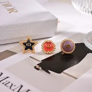 Dior new style Dior new letter earrings loved by top brands. The metal texture