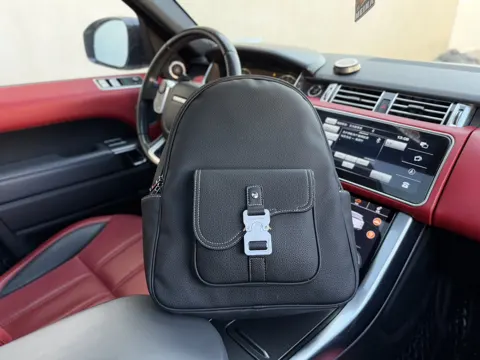 Dior Saddle