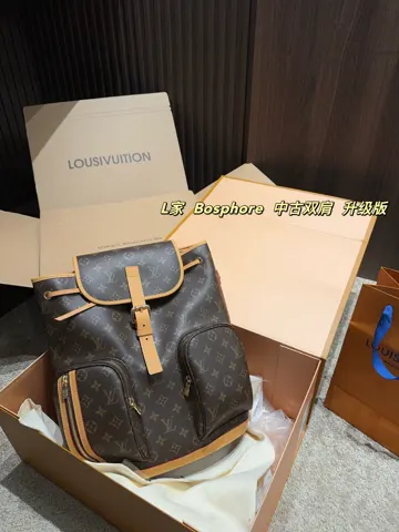 Louis Vuitton Backpack