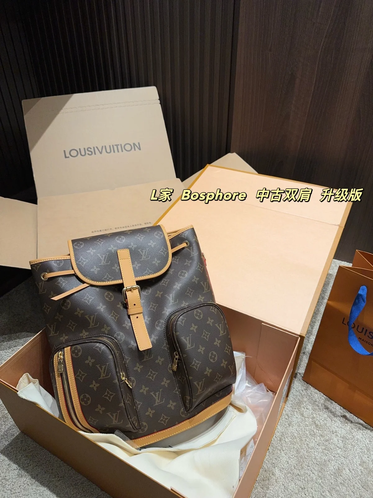 Louis Vuitton Backpack
