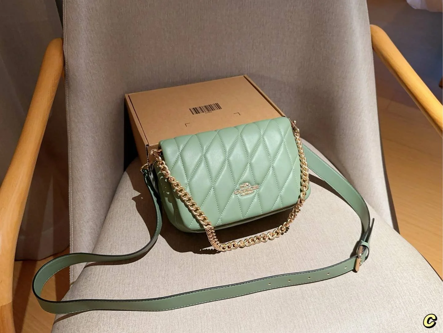COACH Crossbody
