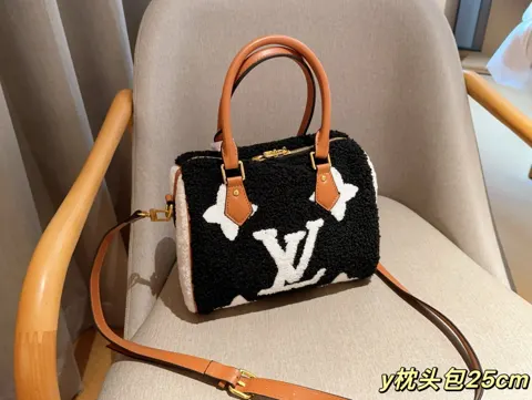Louis Vuitton Bag