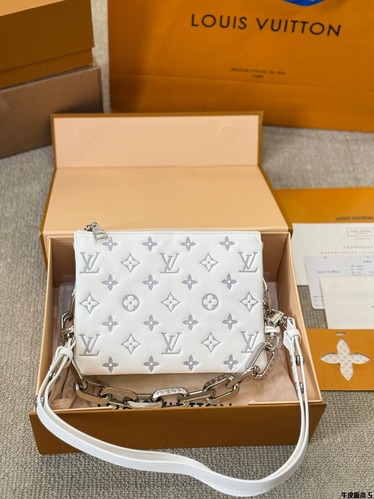 Louis Vuitton Coussin