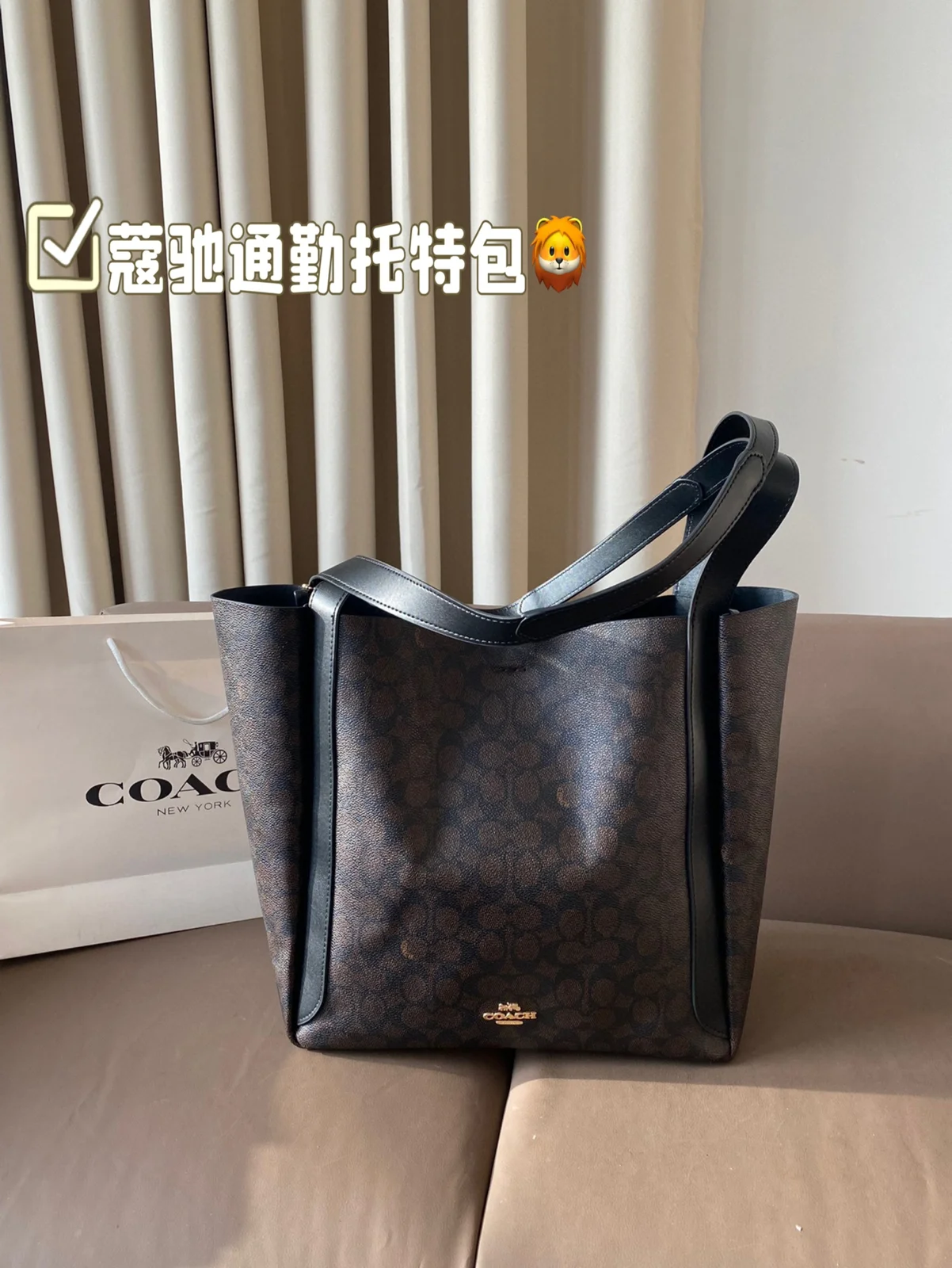 COACH Tote