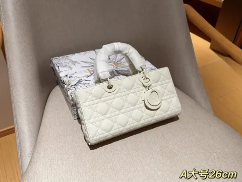 Dior Bag