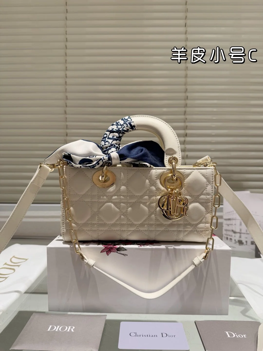 Dior Bag