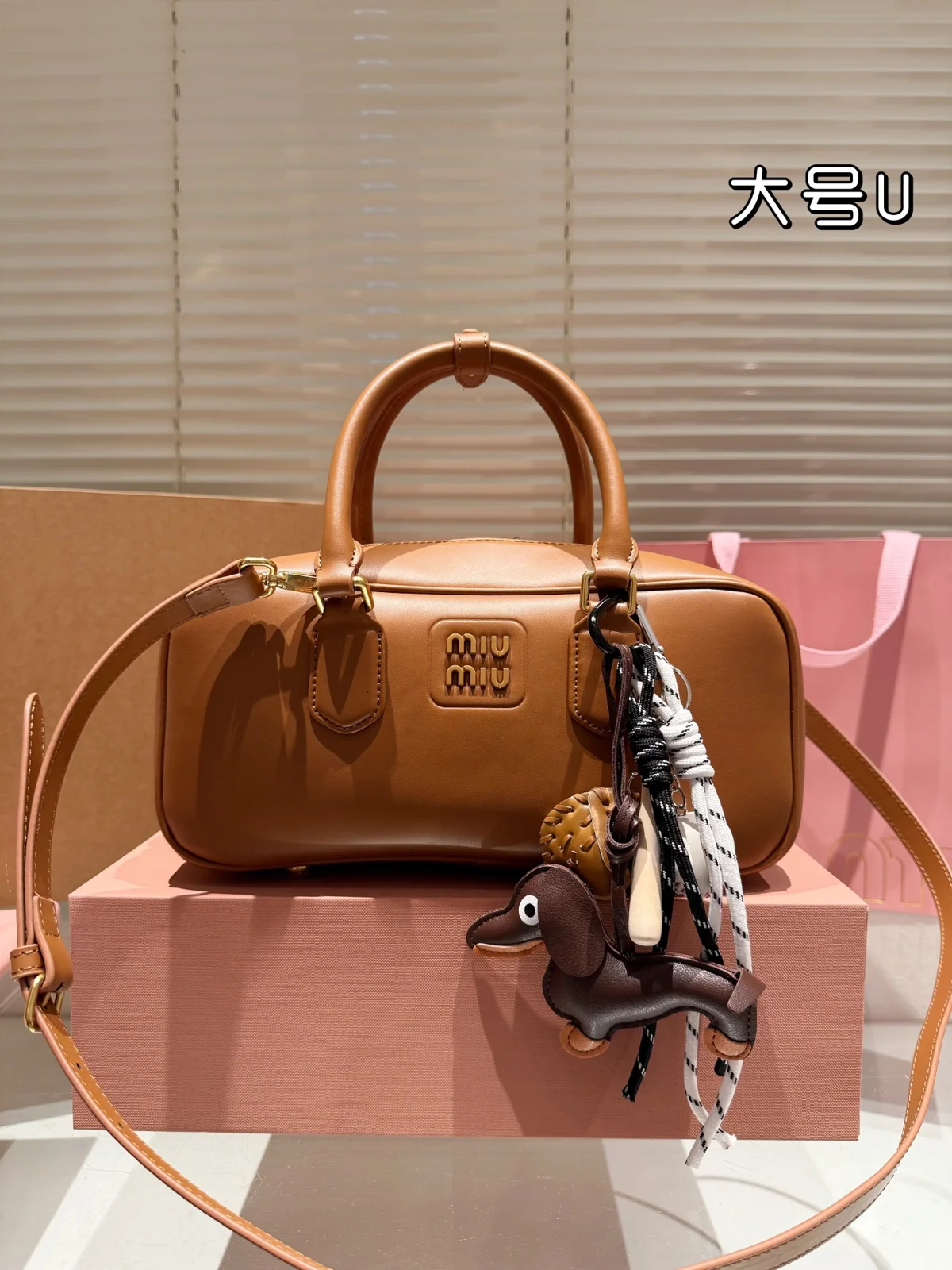 MiuMiu Bag
