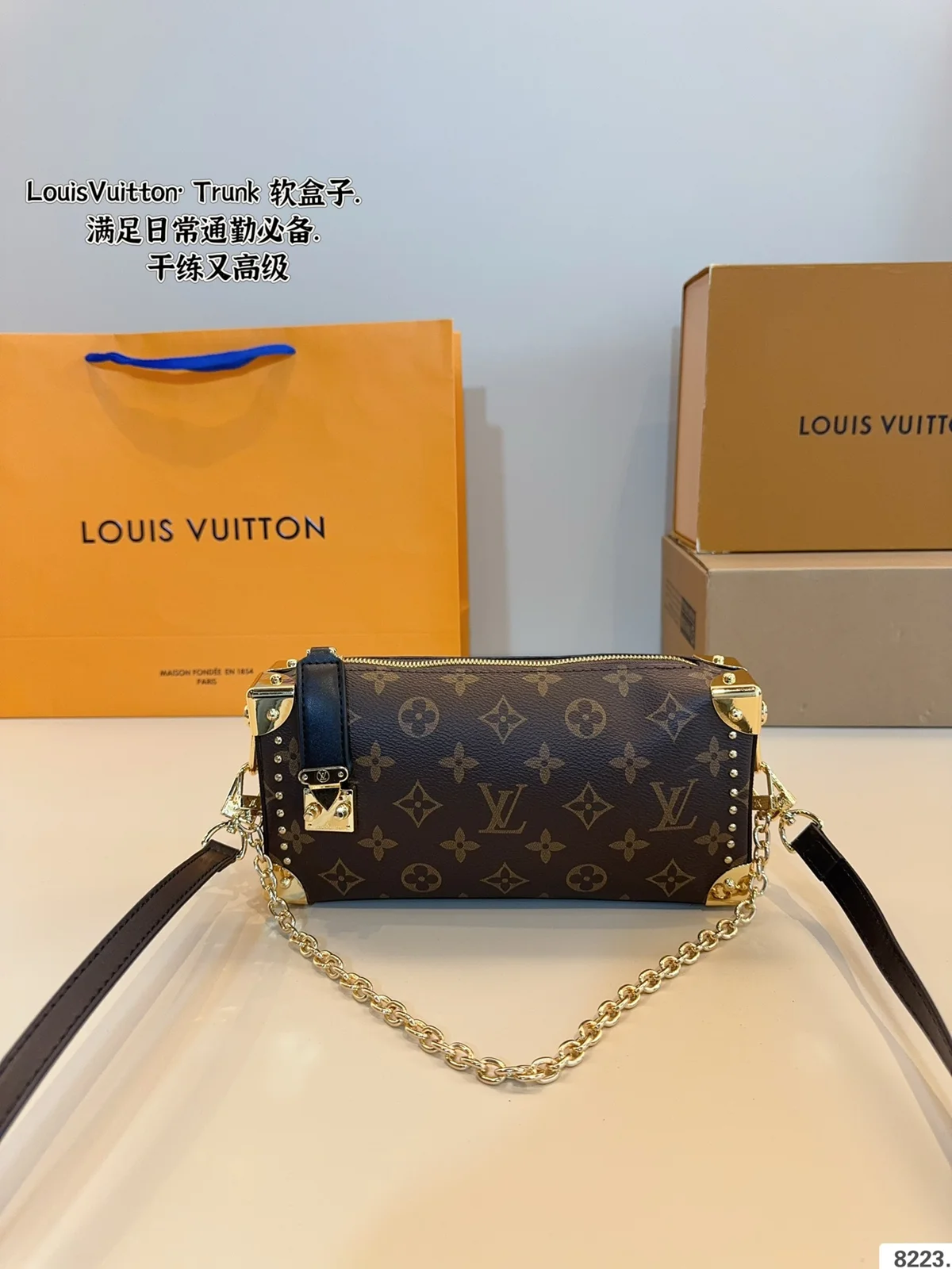 Louis Vuitton Bag