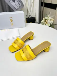 Dior slippers