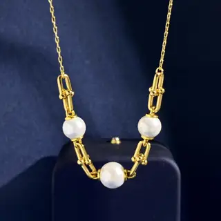 Tiffany new necklace