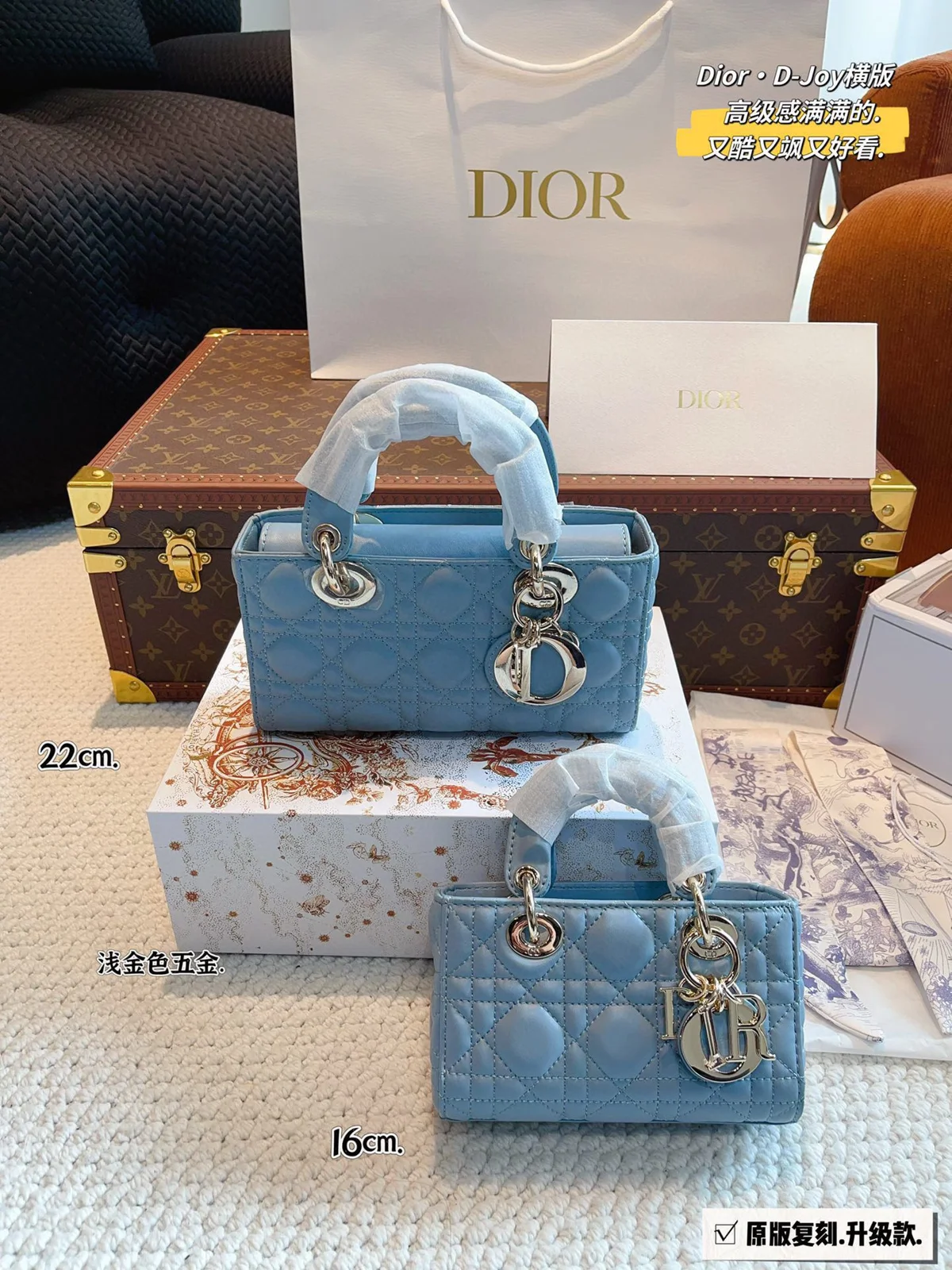 Dior Bag
