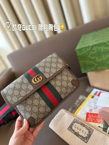 Gucci Bag