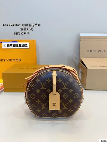 Louis Vuitton Bag