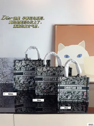 Dior Book Tote