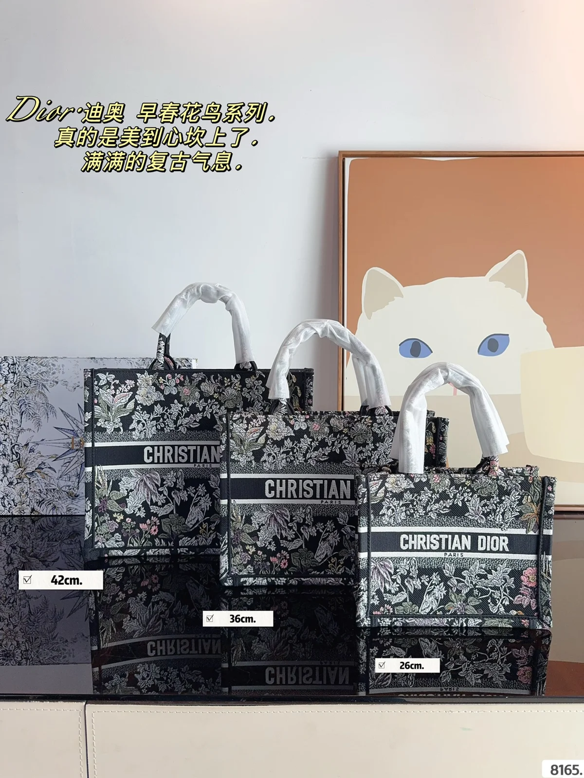 Dior Book Tote