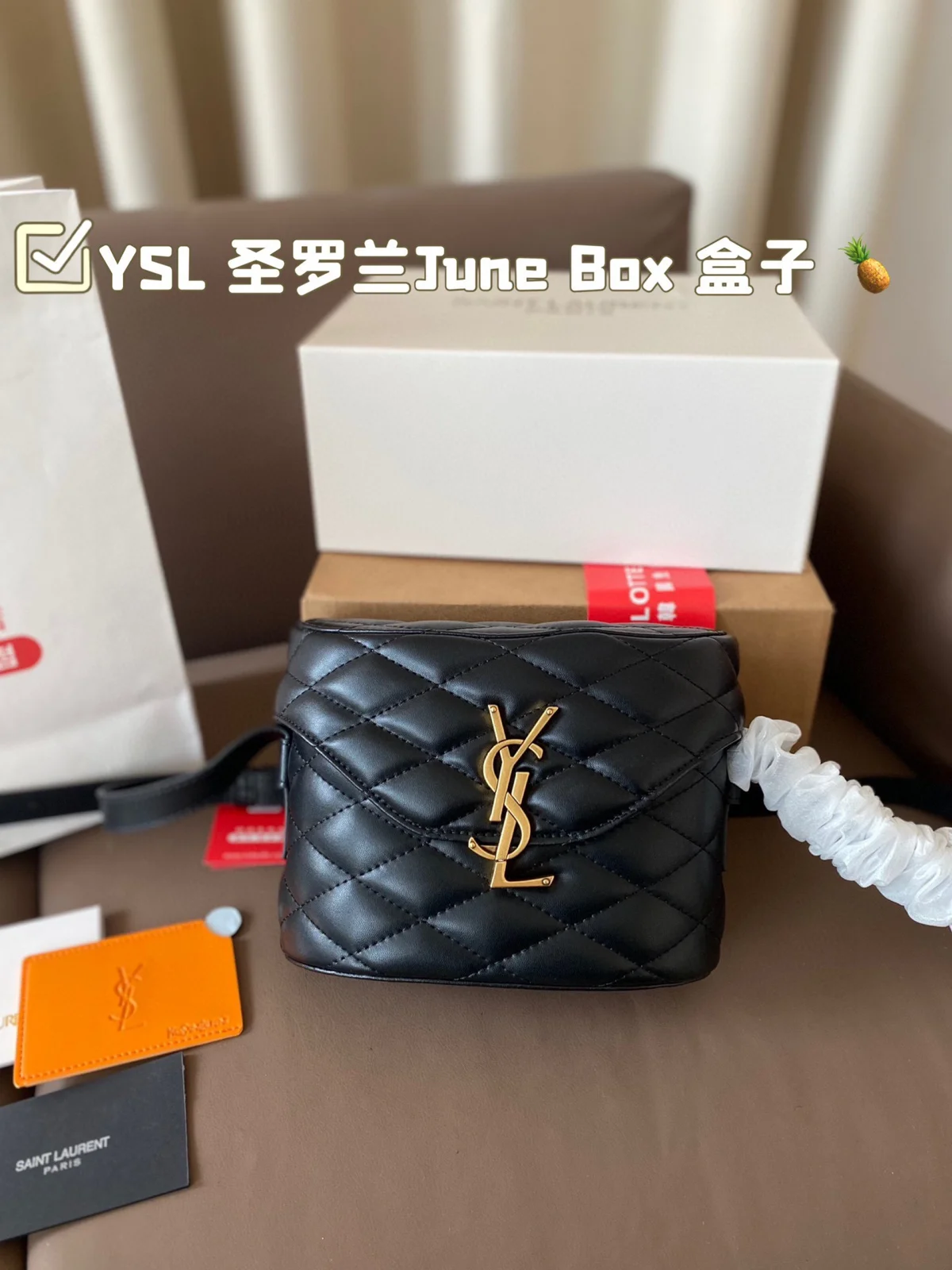 Yves Saint Laurent Bag