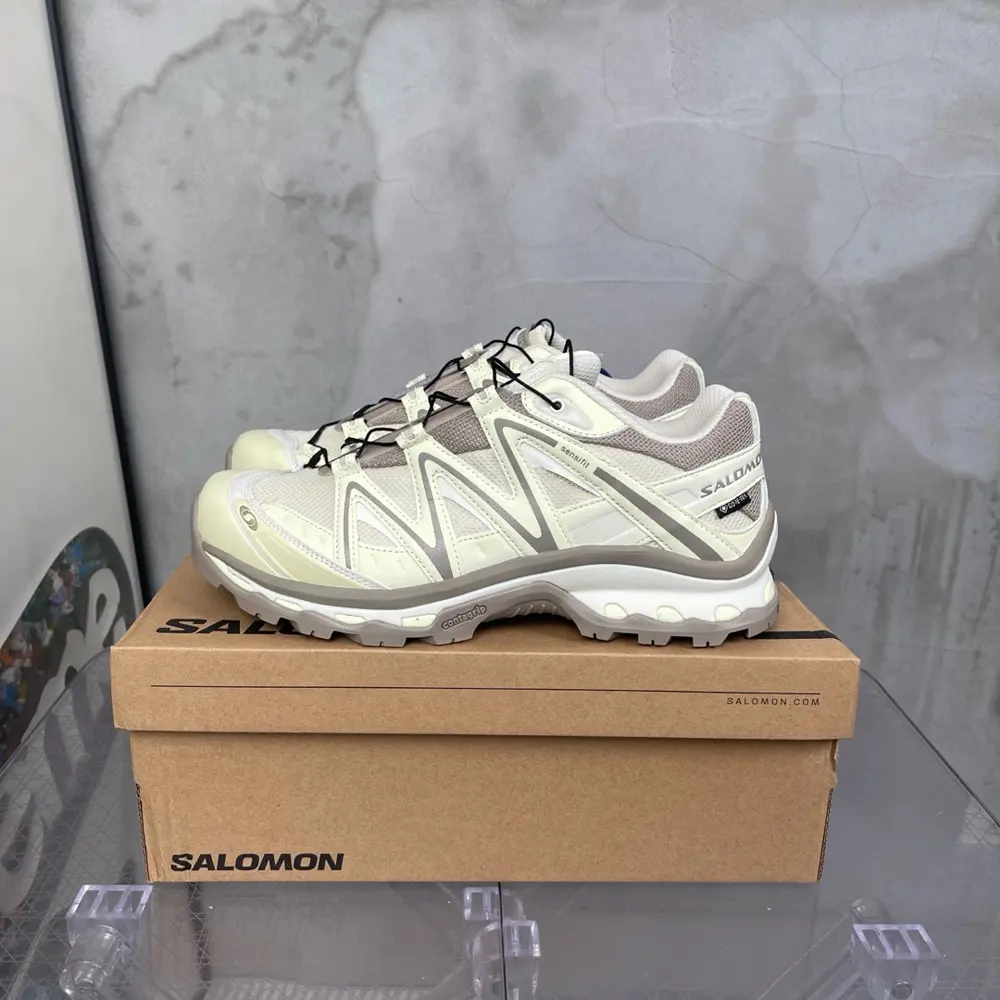 Salomon sports shoes